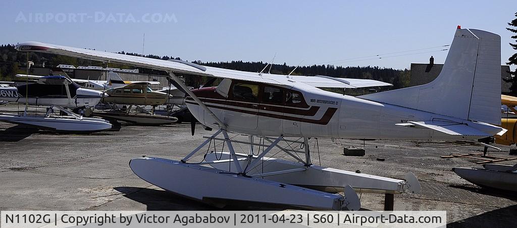N1102G, 1977 Cessna A185F Skywagon 185 C/N 18503521, At Kenmore Air Harbour