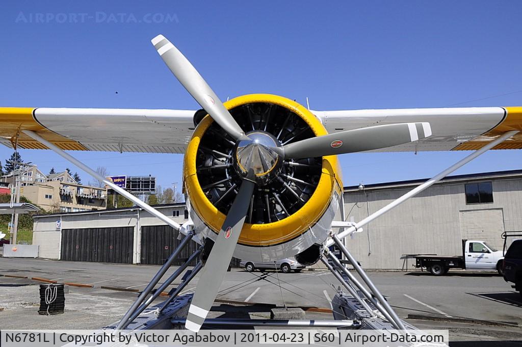N6781L, 1953 De Havilland Canada U-6A Beaver C/N 788, At Kenmore Air Harbour.