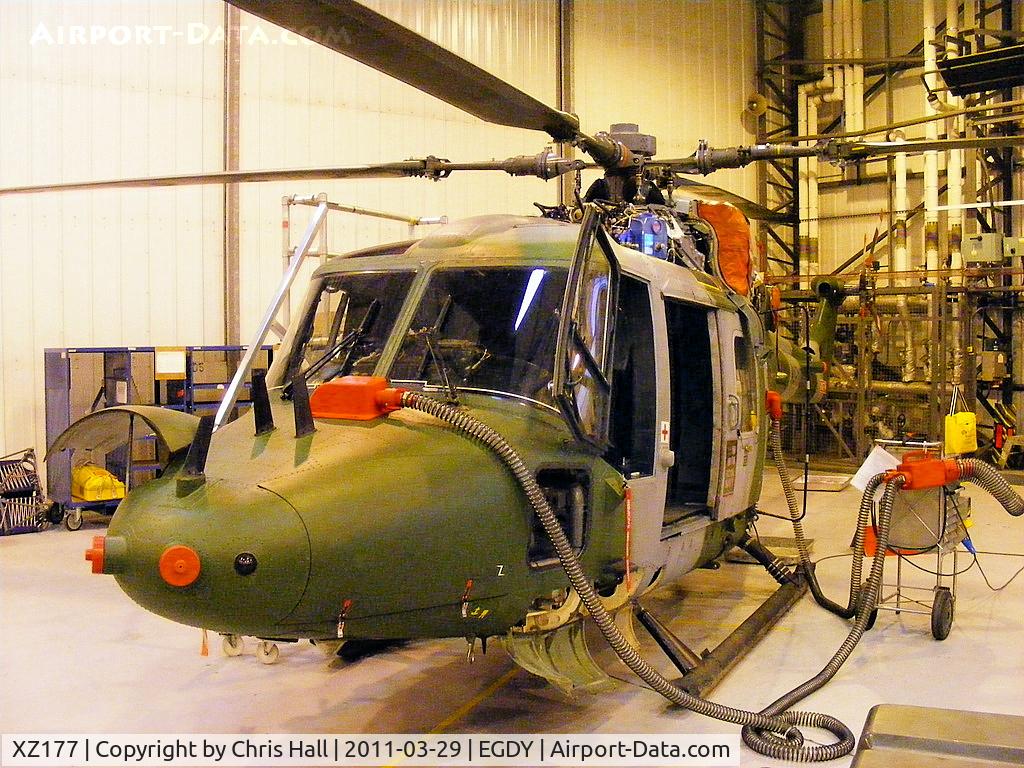 XZ177, 1977 Westland Lynx AH.7 C/N 038, Royal Marines Lynx AH.7, inside Hangar 9, 847 Sqdn, Commando Lynx unit