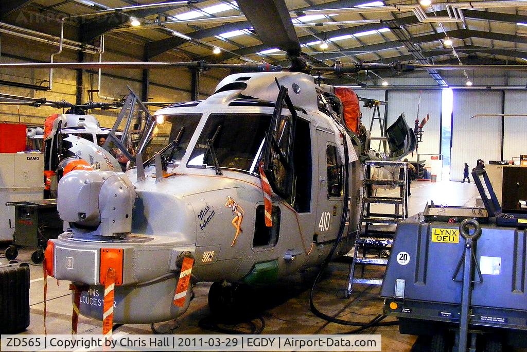 ZD565, 1985 Westland Lynx HMA.8DAS C/N 316, inside Hangar 6 - Lynx heavy maintenance unit, 'HMS Gloucester' on the nose