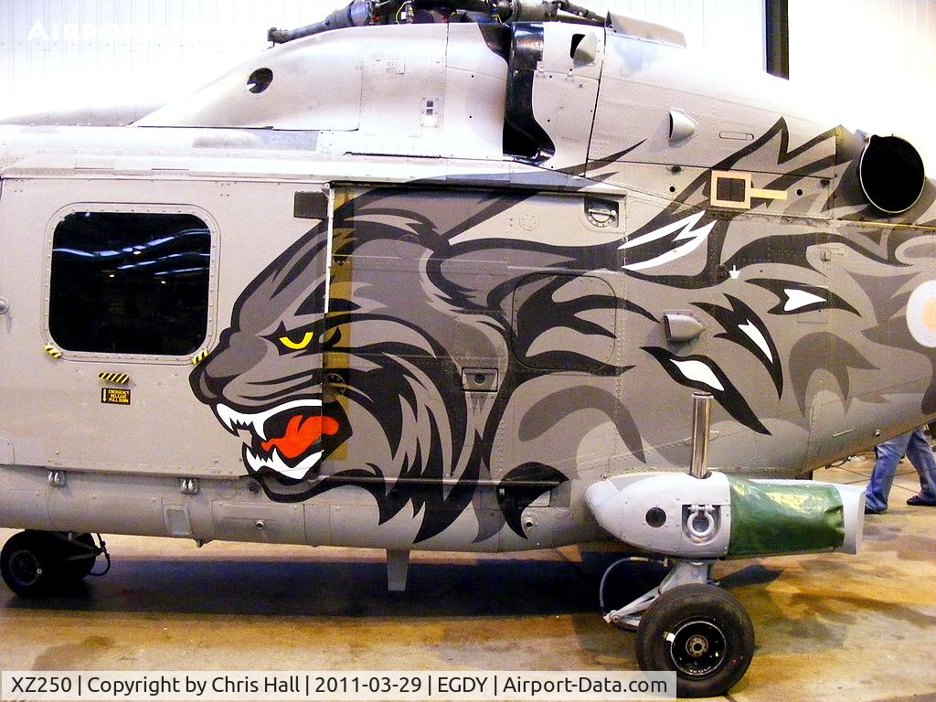 XZ250, 1978 Westland Lynx HAS.3S C/N 084, close up of the art work on the former Royal Navy 'Wildcat' display team Lynx