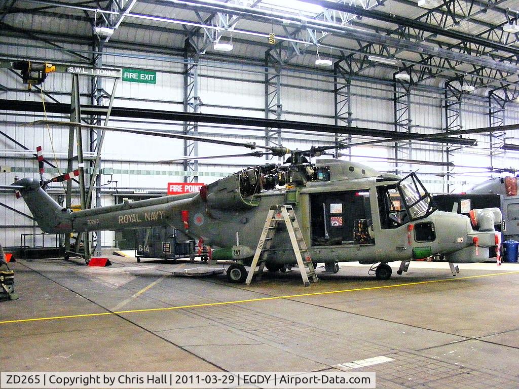 ZD265, 1983 Westland Lynx HMA.8 C/N 303, inside Hangar 8, 702 NAS (Lynx pilot training unit)