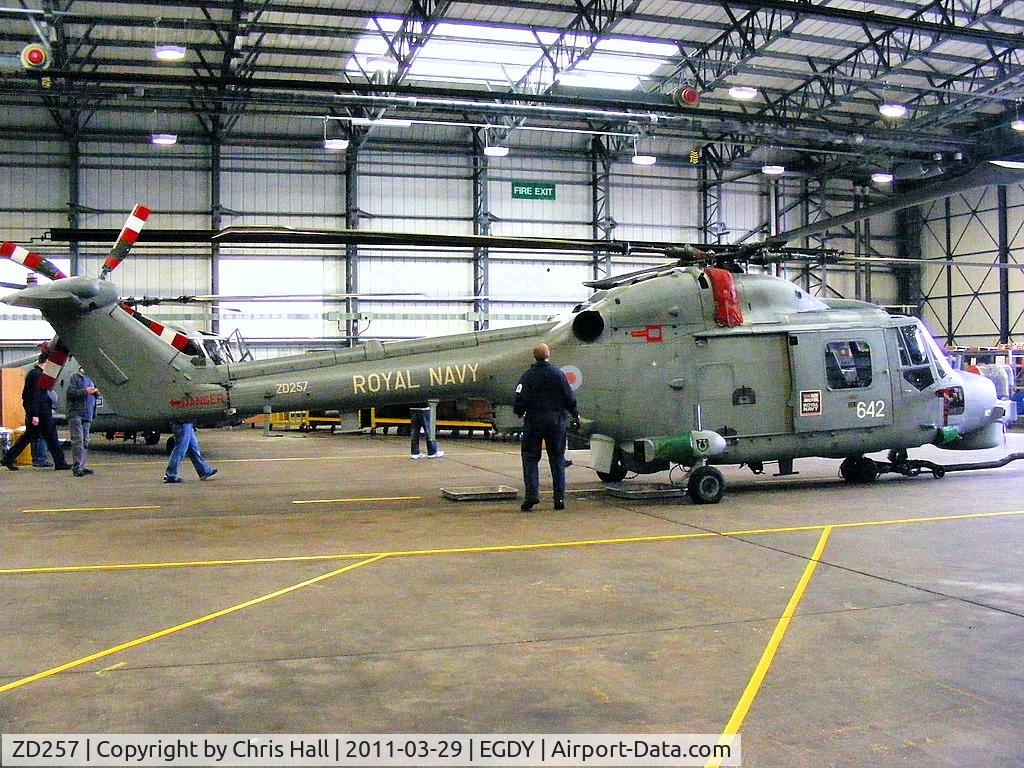ZD257, 1983 Westland Lynx HMA.8DSP C/N 267, inside Hangar 8, 702 NAS (Lynx pilot training unit)
