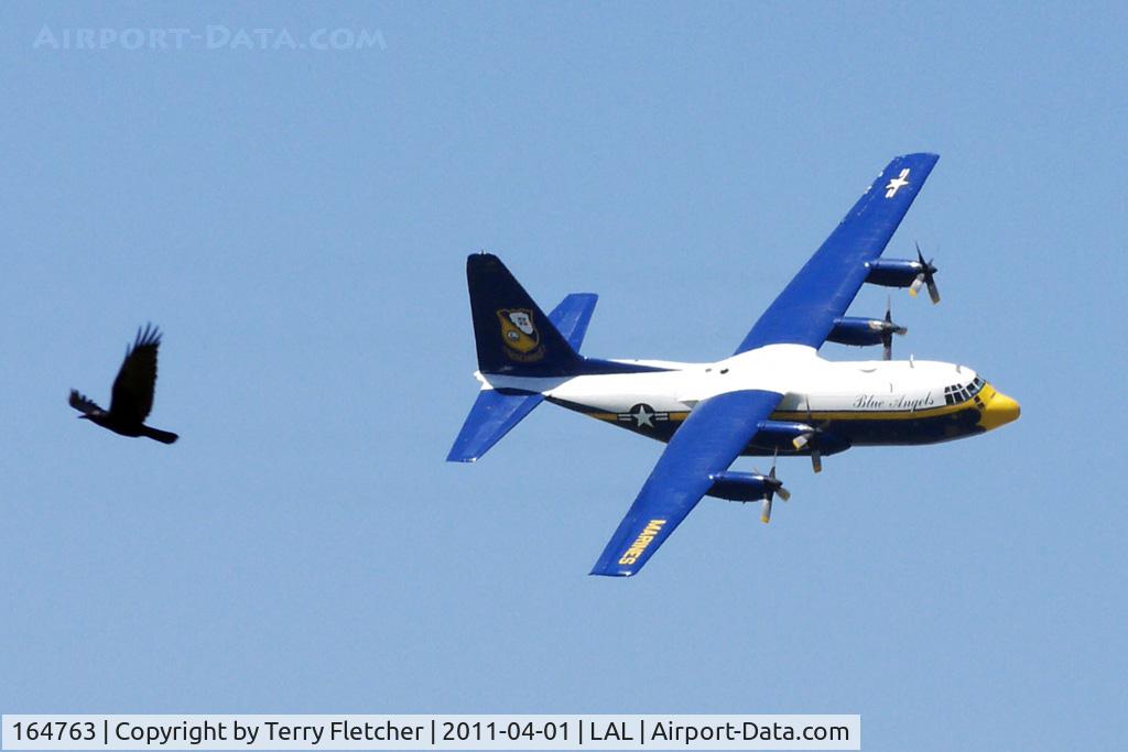 164763, 1992 Lockheed C-130T Hercules C/N 382-5258, Beware of birds imitating 'Fat Albert' performing his routine at 2011 Sun n Fun Lakeland , Florida