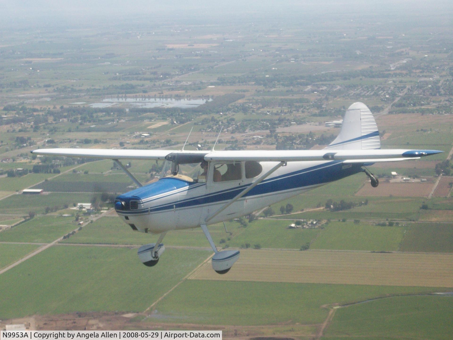 N9953A, 1950 Cessna 170A C/N 19313, Photo of our plane from our Luscombe