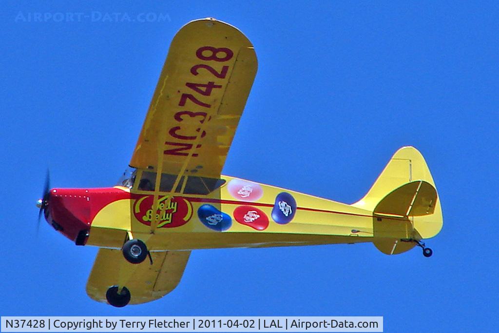 N37428, 1942 Interstate S-1A Cadet C/N 273, 2011 Sun n Fun at Lakeland , Florida