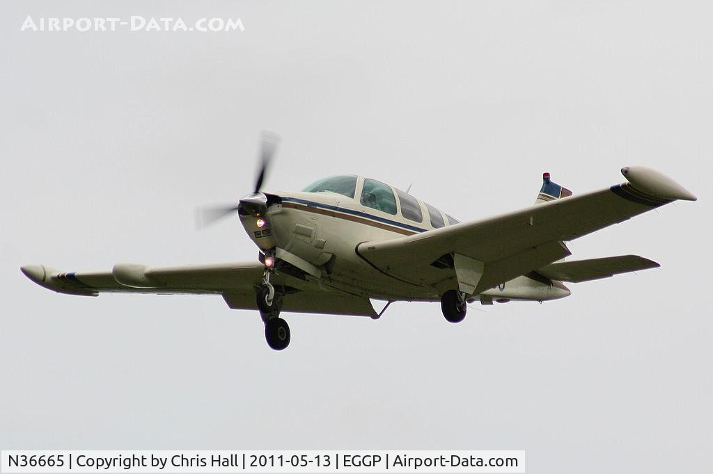 N36665, 1980 Beech A36 Bonanza 36 C/N E-1696, Privately Owned