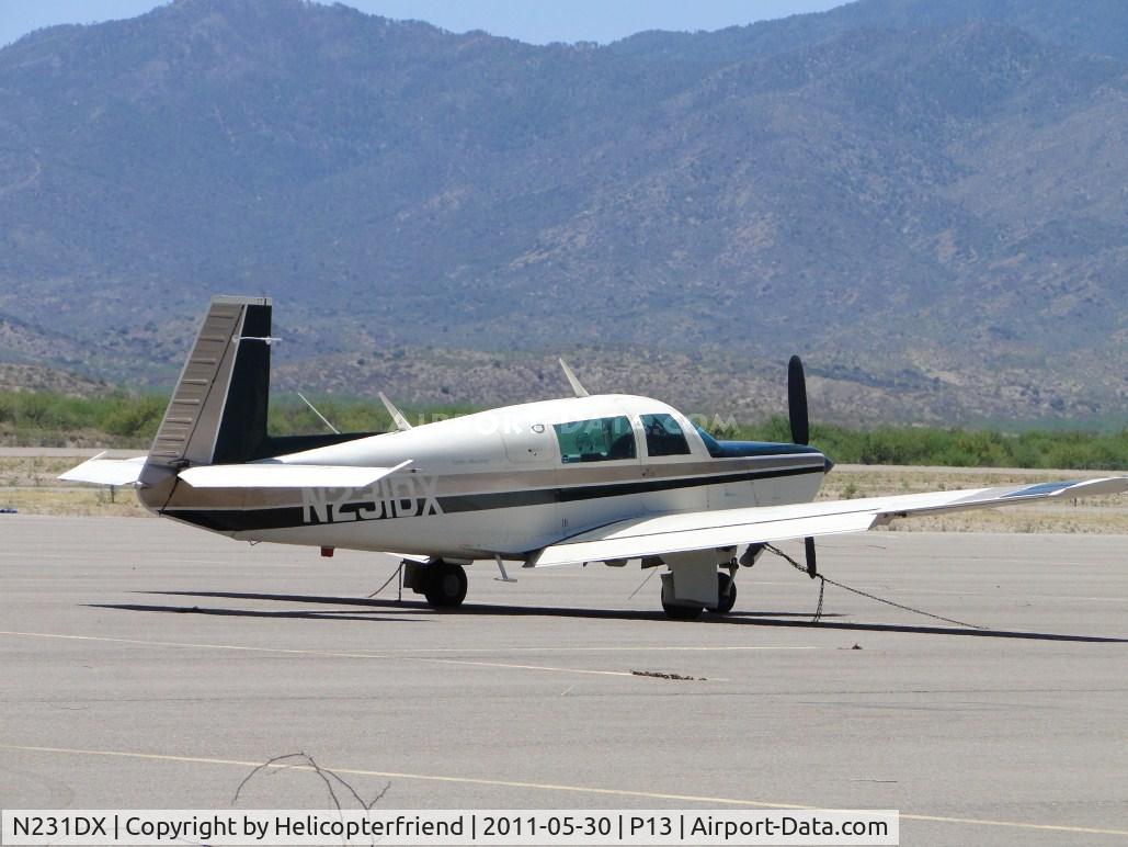 N231DX, 1979 Mooney M20K C/N 25-0174, Parked and tied down