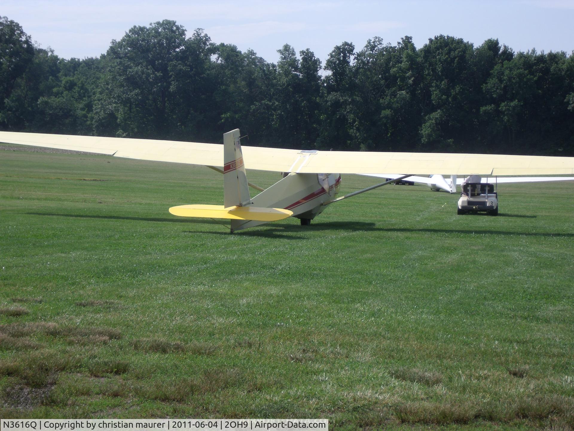 N3616Q, 1981 Schweizer SGS 2-33A C/N 567, at ccsc geting pulled out.