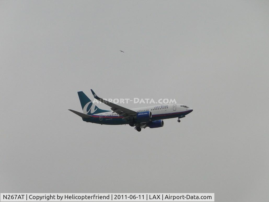 N267AT, 2005 Boeing 737-7BD C/N 33919, Notice the seagull appearing above the ship as it is on final to runway 24