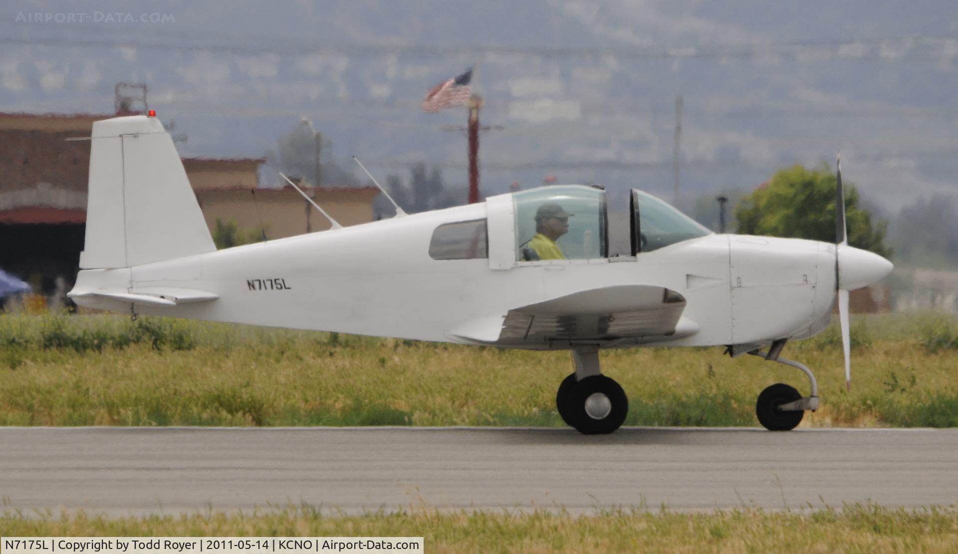 N7175L, 1974 Grumman American AA-1B Trainer C/N AA1B-0455, Landing at chino