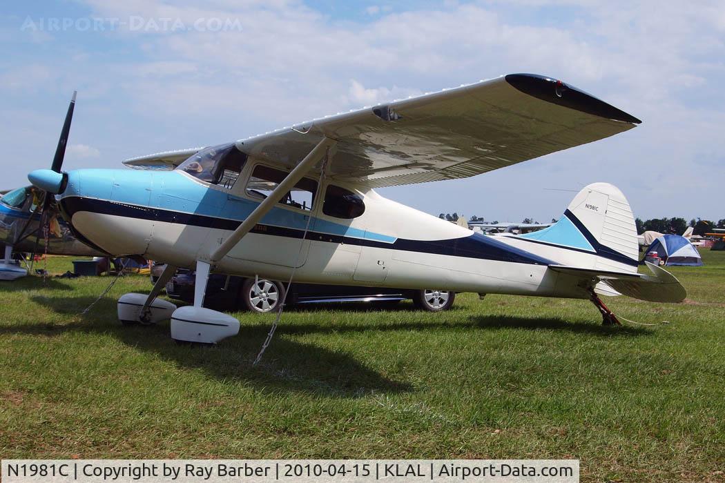 N1981C, 1954 Cessna 170B C/N 26126, Cessna 170B [26126] Lakeland-Linder~N 15/04/2010