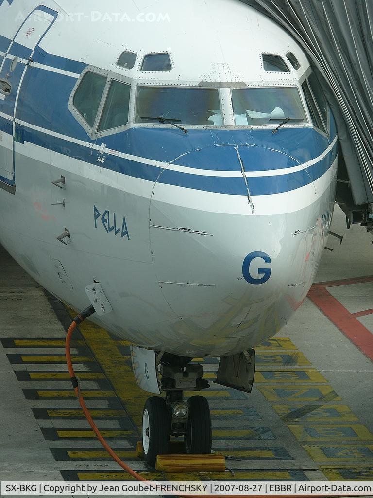 SX-BKG, 1993 Boeing 737-484 C/N 27149, ex Olympic 