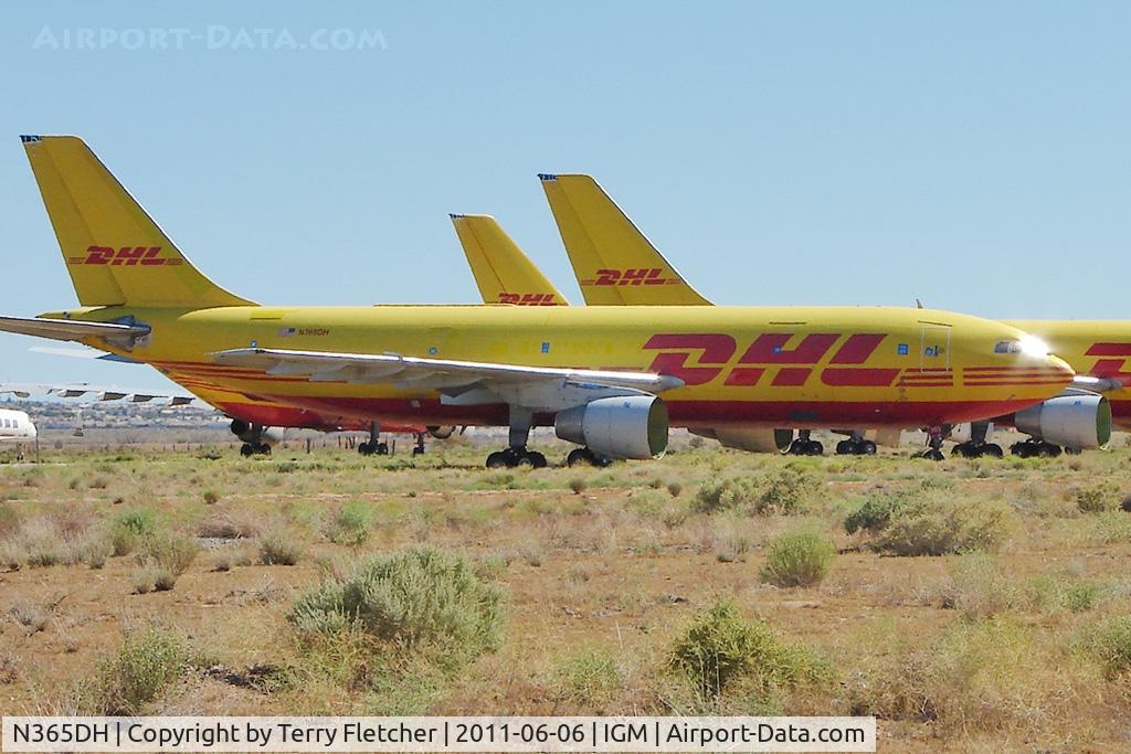 N365DH, 1981 Airbus A300B4-203 C/N 149, 1981 Airbus A300 B4-203, c/n: 149 of DHL stored at Kingman
