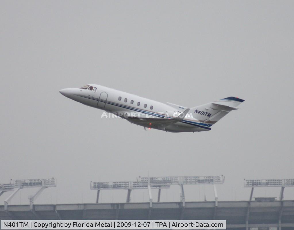 N401TM, 2002 Raytheon Hawker 800XP C/N 258602, Hawker 800XP