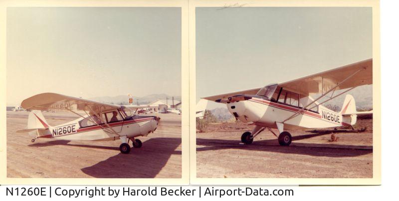N1260E, 1946 Aeronca 7AC Champion C/N 7AC-4818, We owned 1260E in the late sixties. We kept it part time in Santa Paula and partime at Meadowlark Field in Huntington Beach, CA. Pics taken at SP.