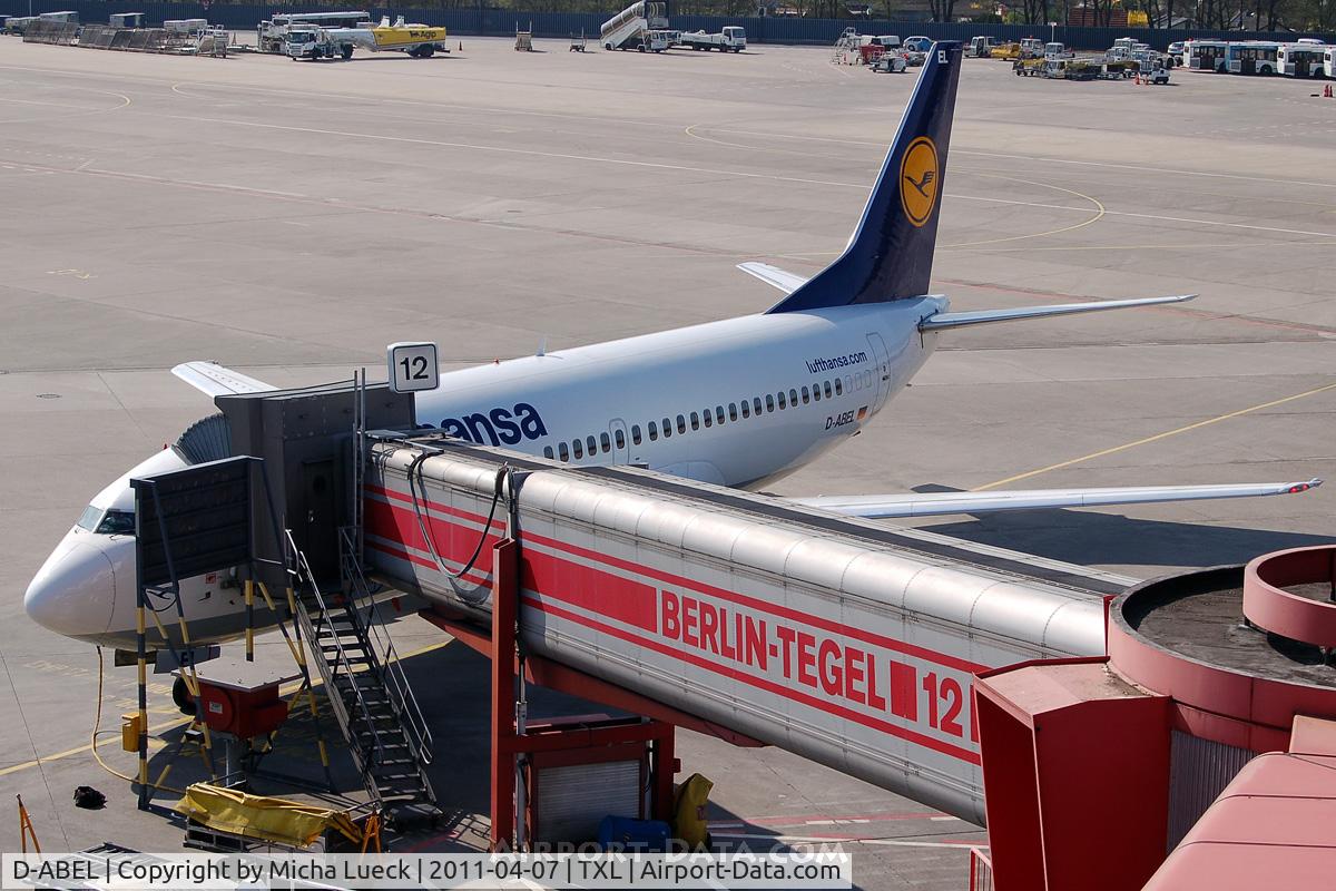 D-ABEL, 1991 Boeing 737-330 C/N 25415, At Tegel