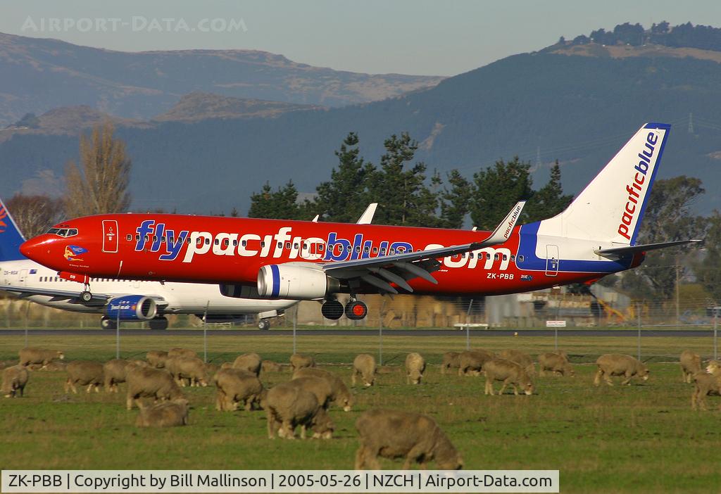 ZK-PBB, 2003 Boeing 737-8FE C/N 33797, and the sheep dont even bother to look up