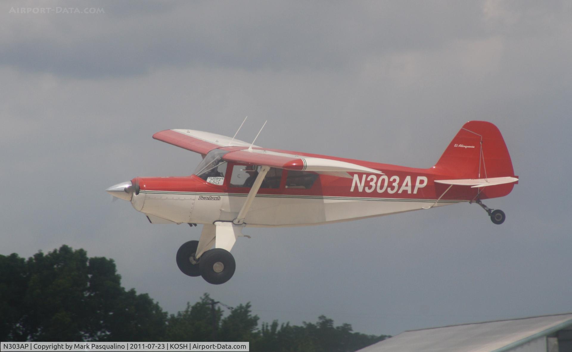N303AP, 2003 Avipro Bearhawk C/N 02-01/02-444, Bearhawk