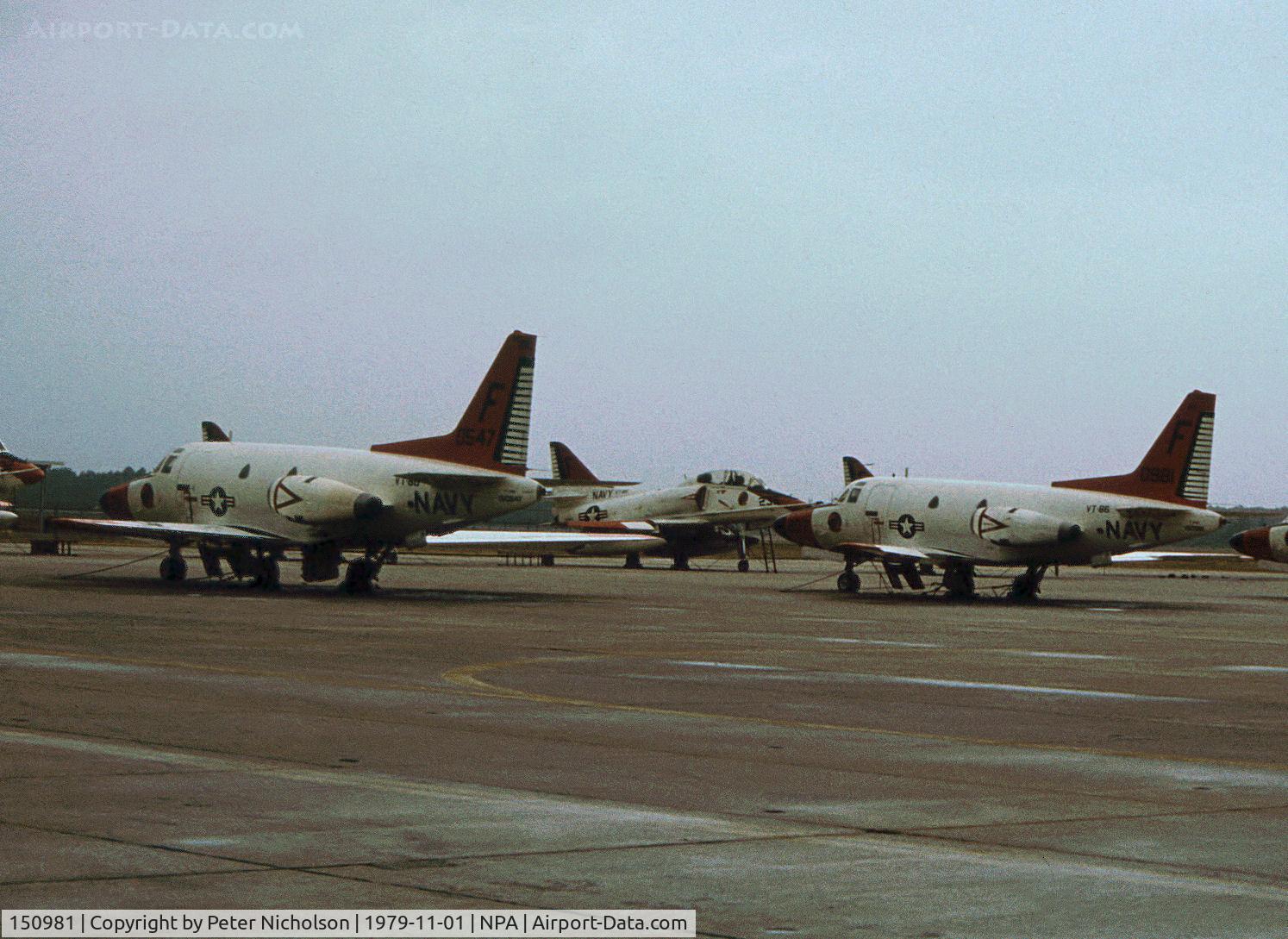 150981, North American T-39D Sabreliner C/N 285-13, T-39D Sabreliner of Training Squadron VT-86 with companion 150547 on the flight-line at NAS Pensacola in November 1979.