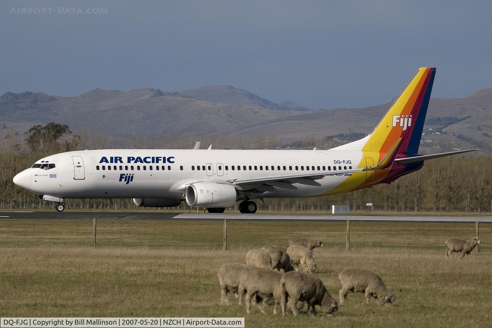 DQ-FJG, 1999 Boeing 737-8X2 C/N 29968, and the sheep just ignore it