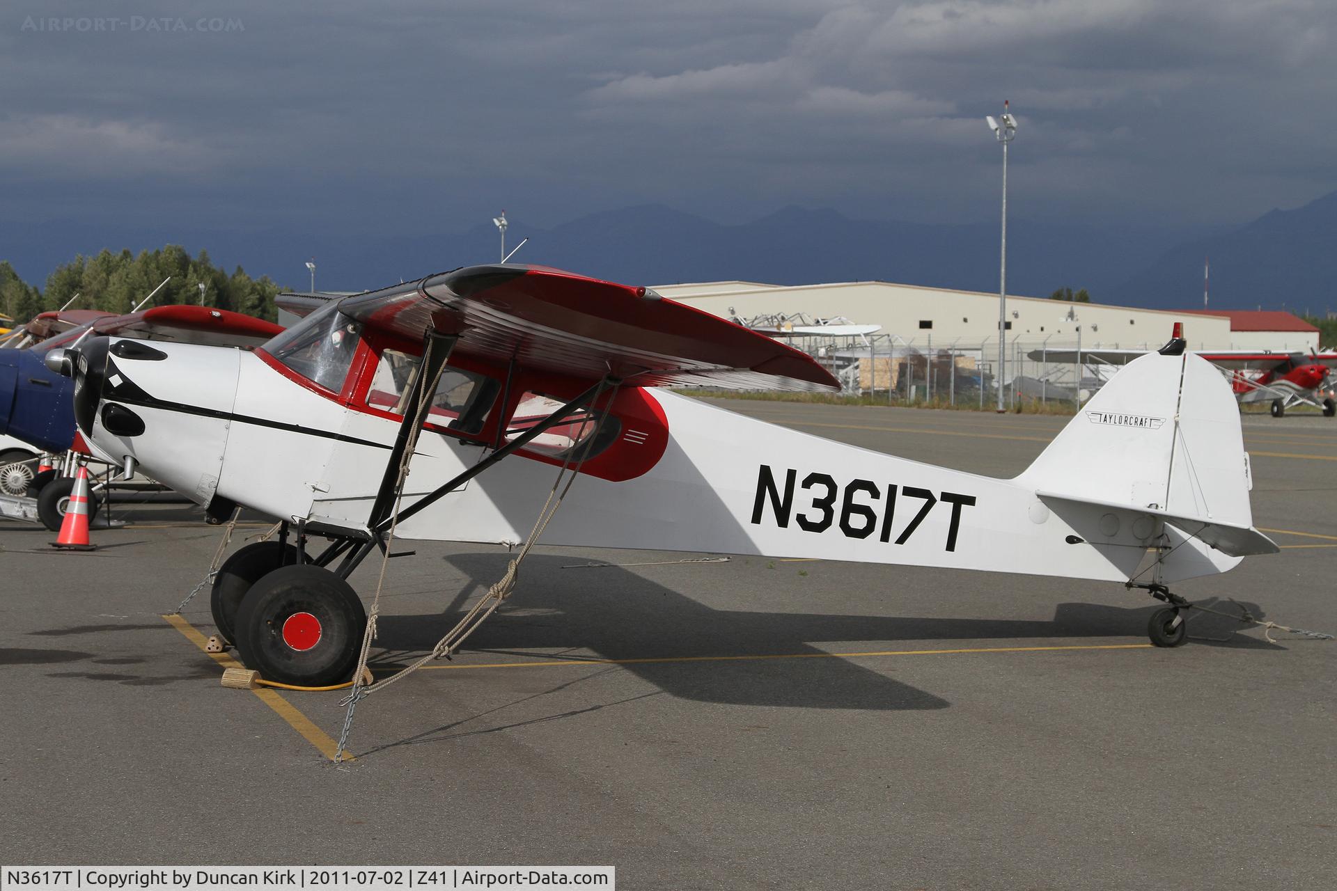 N3617T, 1976 Taylorcraft F-19 Sportsman C/N F-071, Looking good in the afternoon sun