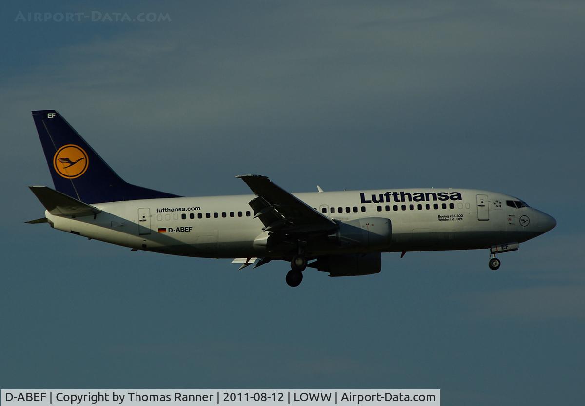 D-ABEF, 1991 Boeing 737-330 C/N 25217, Lufthansa Boeing 737