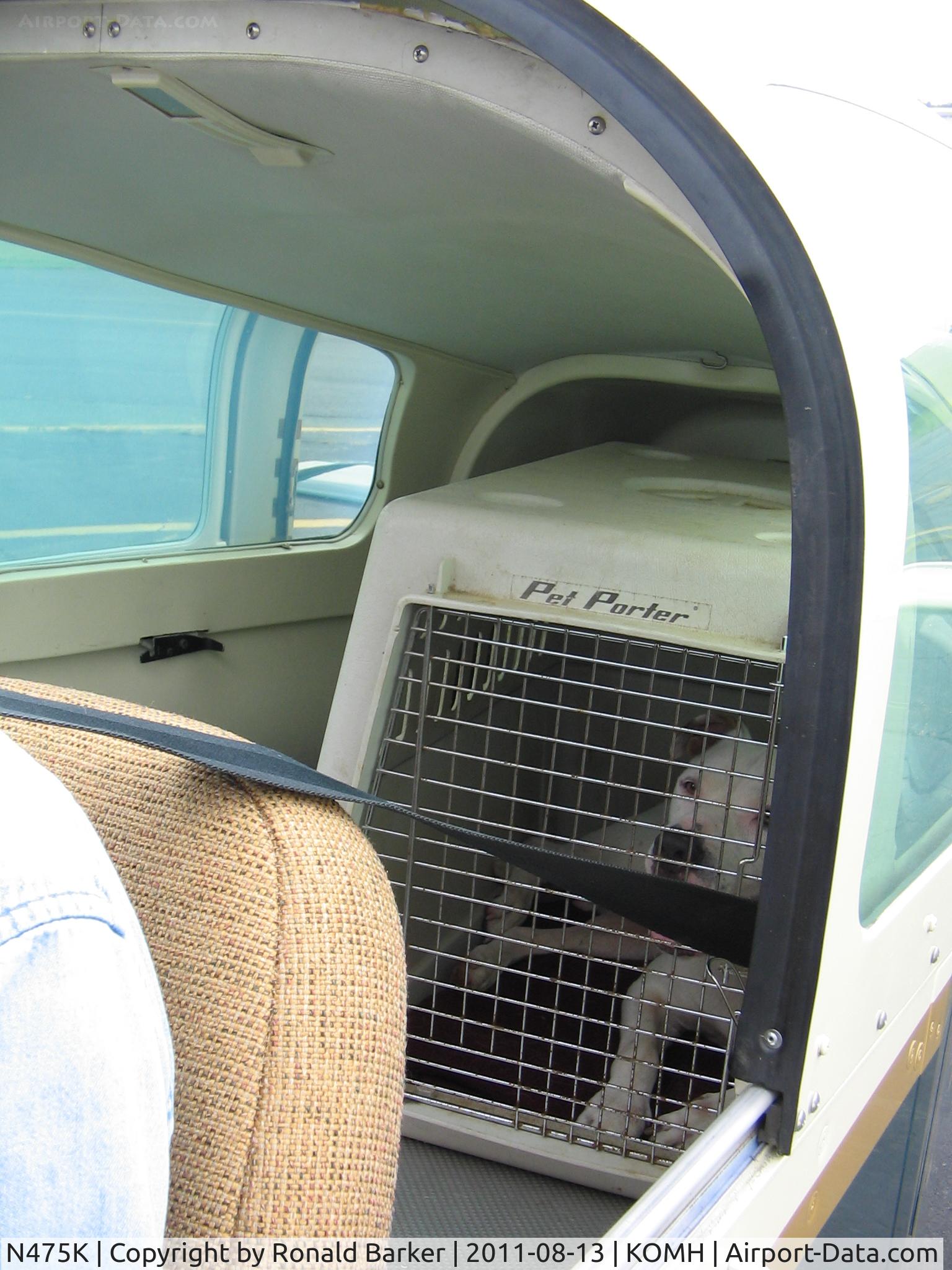 N475K, 1978 Grumman American AA-5A Cheetah C/N AA5A0667, Rescued dog on her way to PA.  It took an effort from those in VA, SC, GA and PA to save this dog.  Yes, she did get a safety briefing before the flight.