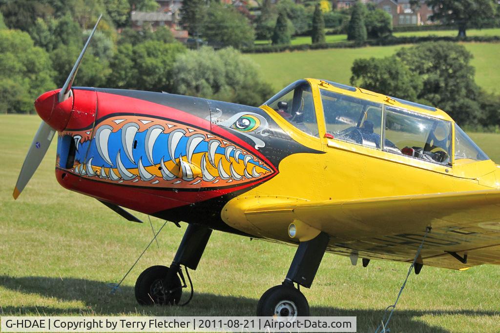 G-HDAE, 1951 De Havilland DHC-1 Chipmunk T.20 C/N C1/0280, Guest at the 80th Anniversary De Havilland Moth Club International Rally at Belvoir Castle , United Kingdom
