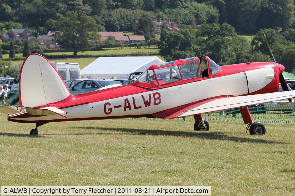 G-ALWB, 1950 De Havilland DHC-1 Chipmunk 22A C/N C1/0100, Guest at the 80th Anniversary De Havilland Moth Club International Rally at Belvoir Castle , United Kingdom