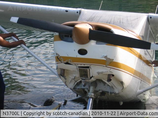 N3700L, 1965 Cessna 172G C/N 17253869, 1965 Cessna 172G, N3700L after running out of fuel and ditching in a Retention Pond in Auburndale, FL