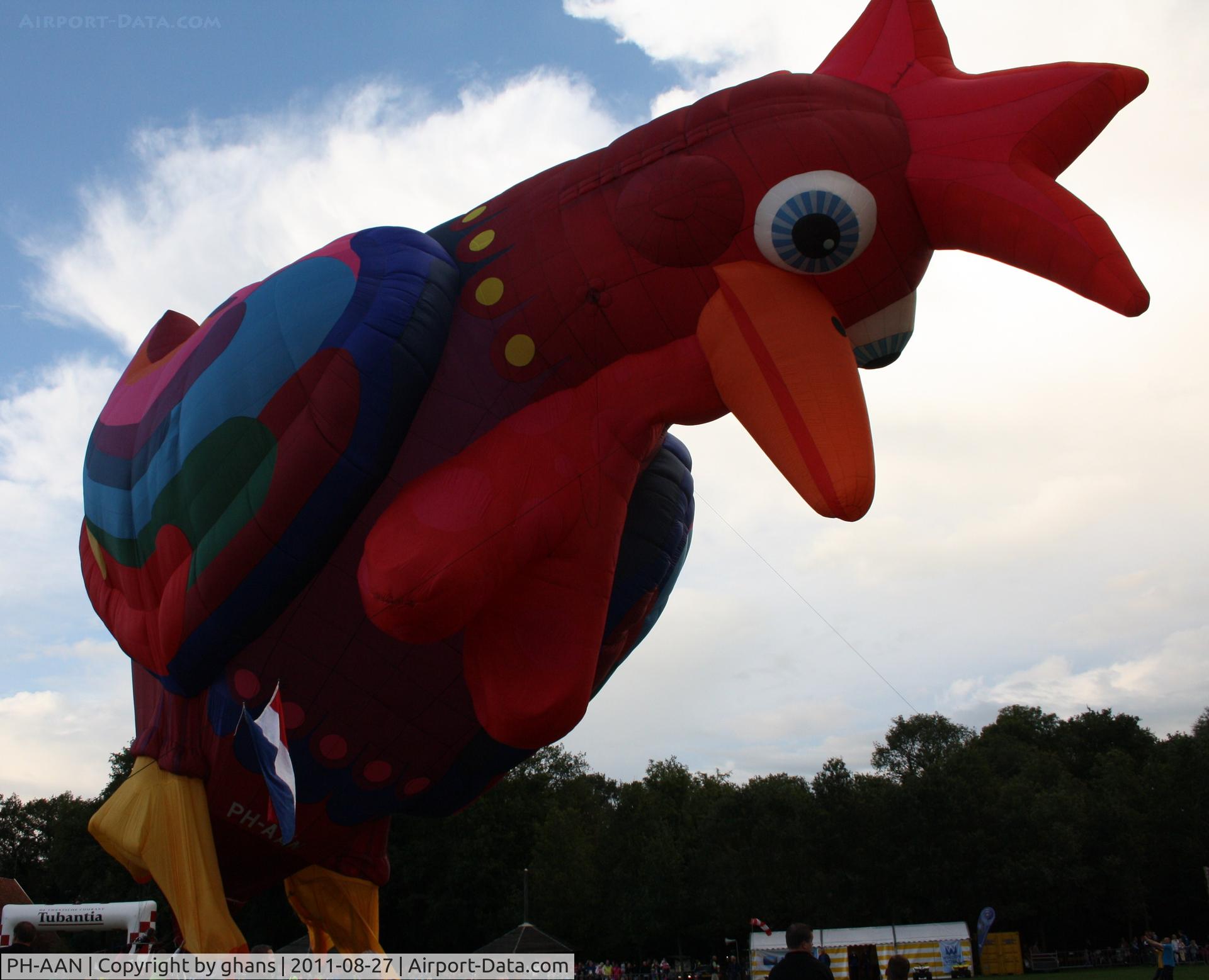 PH-AAN, Cameron Cockerel-130 C/N 4650, Cockerel