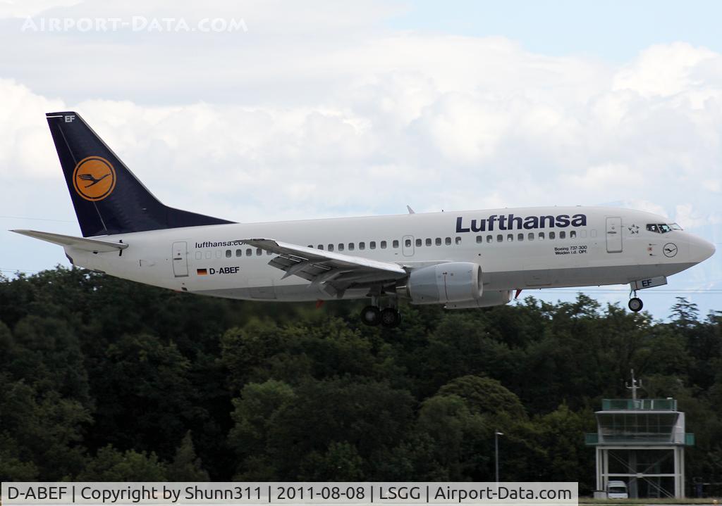 D-ABEF, 1991 Boeing 737-330 C/N 25217, Landing rwy 23