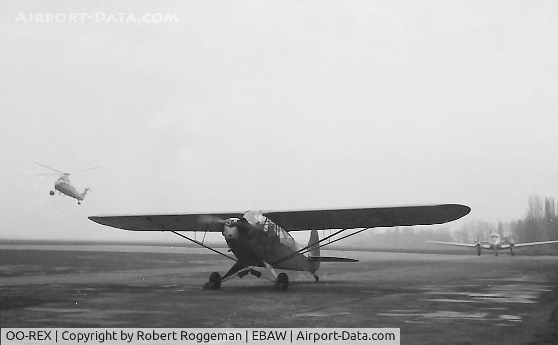 OO-REX, 1944 Piper L-4J Grasshopper (J3C-65D) C/N 12416, Late 1950's.background Dove and S-58C Sabena landing.