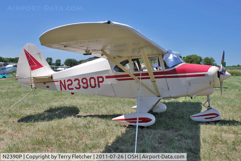 N2390P, 1955 Piper PA-22-150 Tri-Pacer C/N 22-2781, 1955 Piper PA-22-150, c/n: 22-2781
at 2011 Oshkosh