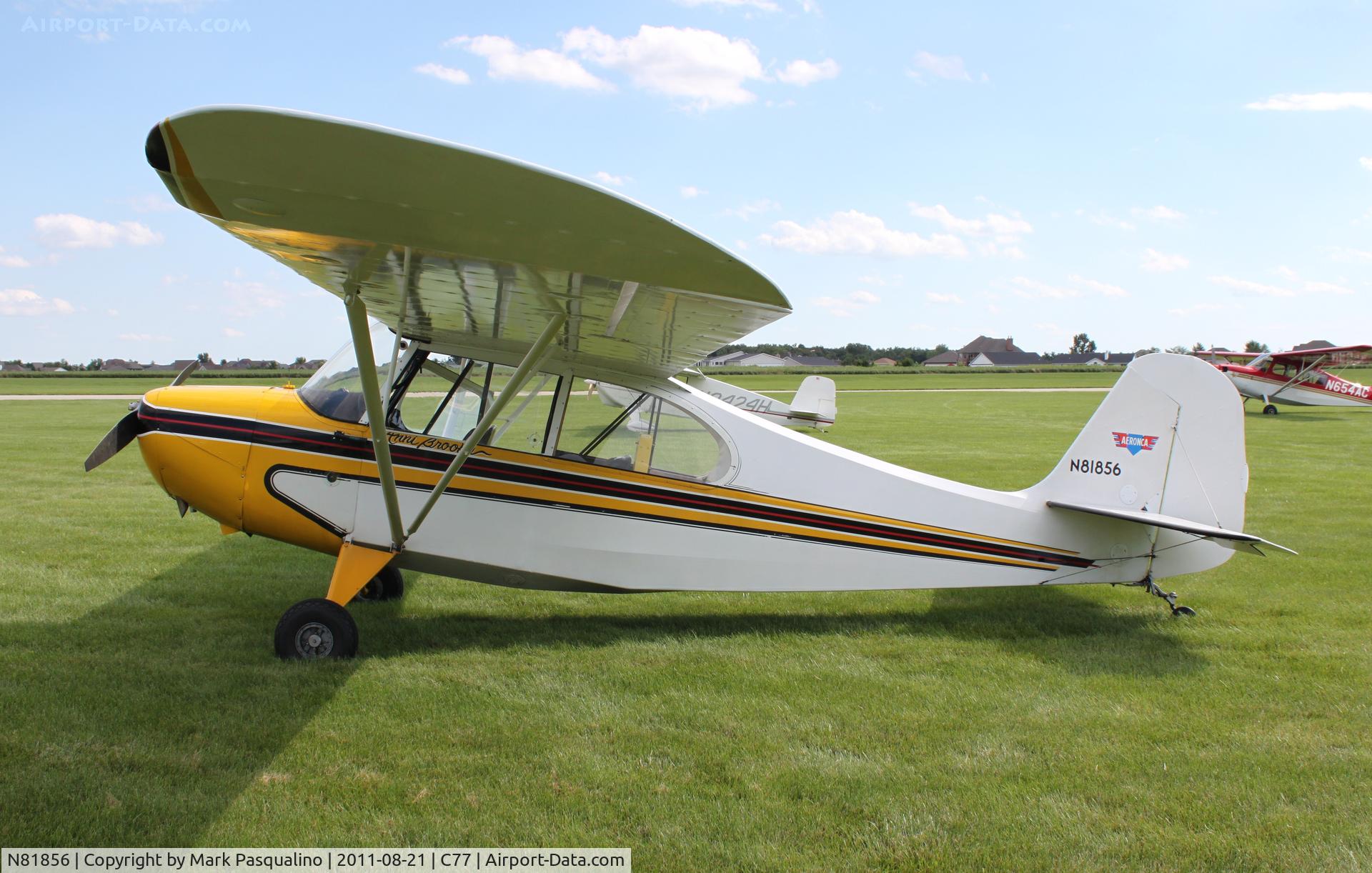 N81856, 1946 Aeronca 7AC Champion C/N 7AC-479, Aeronca 7AC