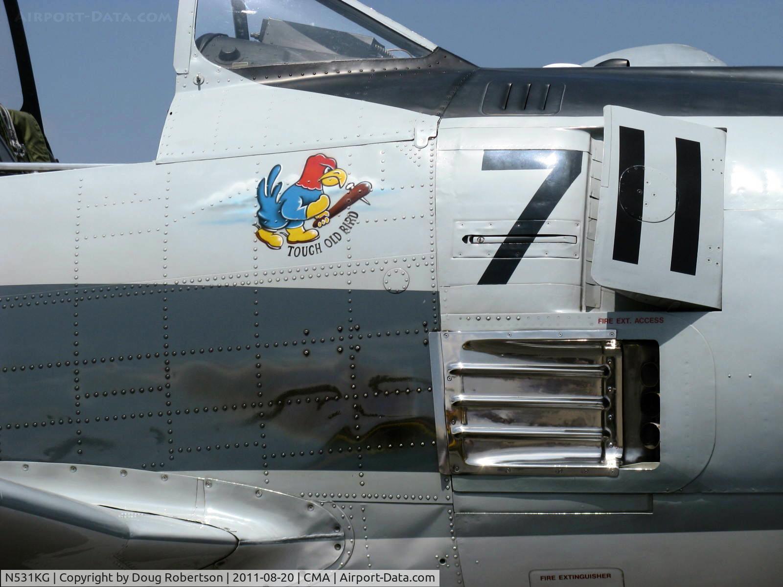 N531KG, 1954 North American T-28C Trojan Trojan C/N 226-108, 1954 North American T-28C TROJAN 'Tough Old Bird', Wright R-1820-86 1,425 Hp, logo