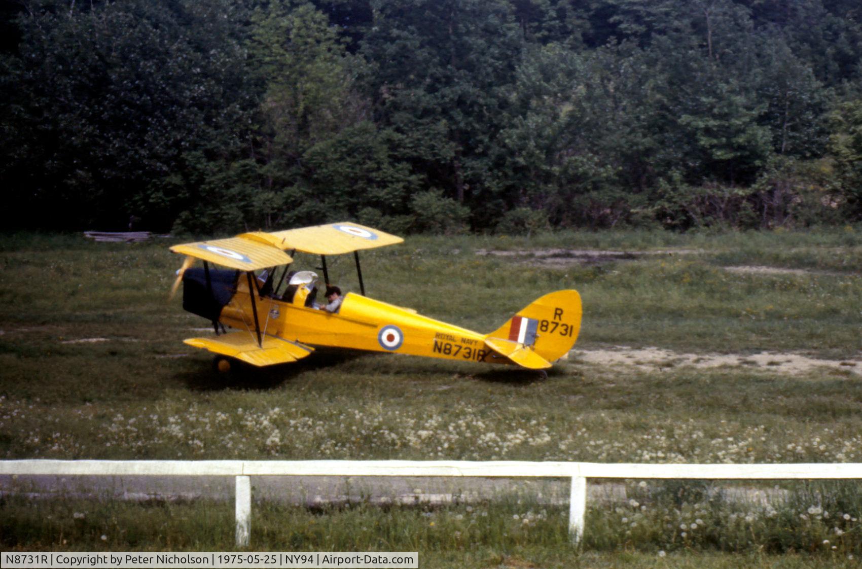N8731R, 1941 De Havilland Canada DH-82C Tiger Moth C/N DHC1848, DH-82C Tiger Moth of Cole Palen's Rhinebeck collection in action at the 1975 Airshow.