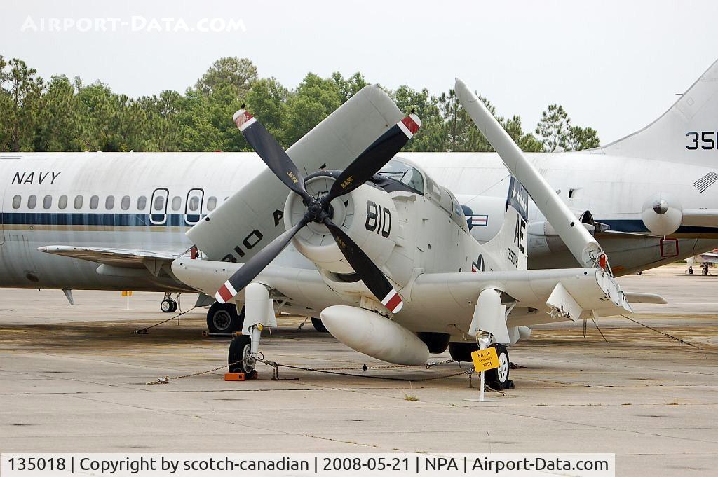 135018, Douglas EA-1F Skyraider C/N 10095, Douglas EA-1F Skyraider at the National Naval Aviation Museum, Pensacola, FL