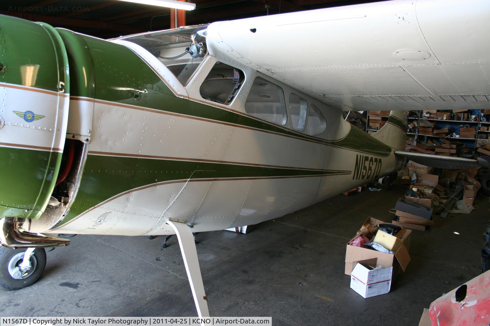 N1567D, 1952 Cessna 195A C/N 7789, Gorgeous 195 being worked on