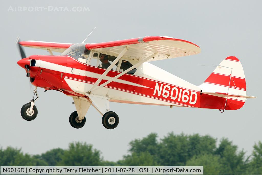 N6016D, 1956 Piper PA-22-150 Tri-Pacer C/N 22-4669, at 2011 Oshkosh