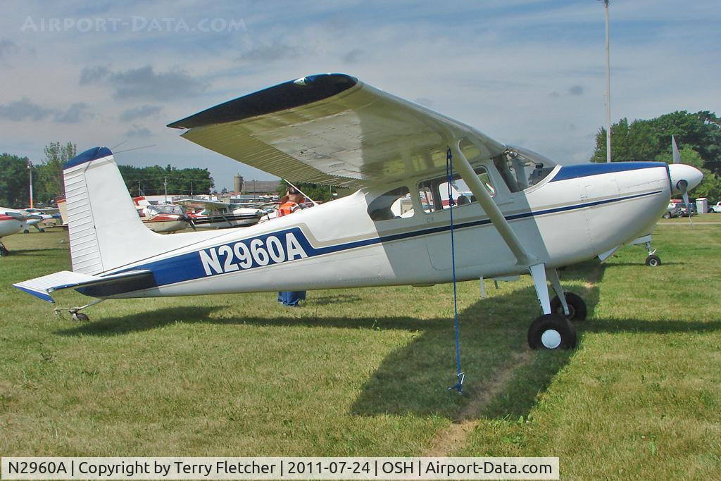 N2960A, 1953 Cessna 180 C/N 30160, At 2011 Oshkosh