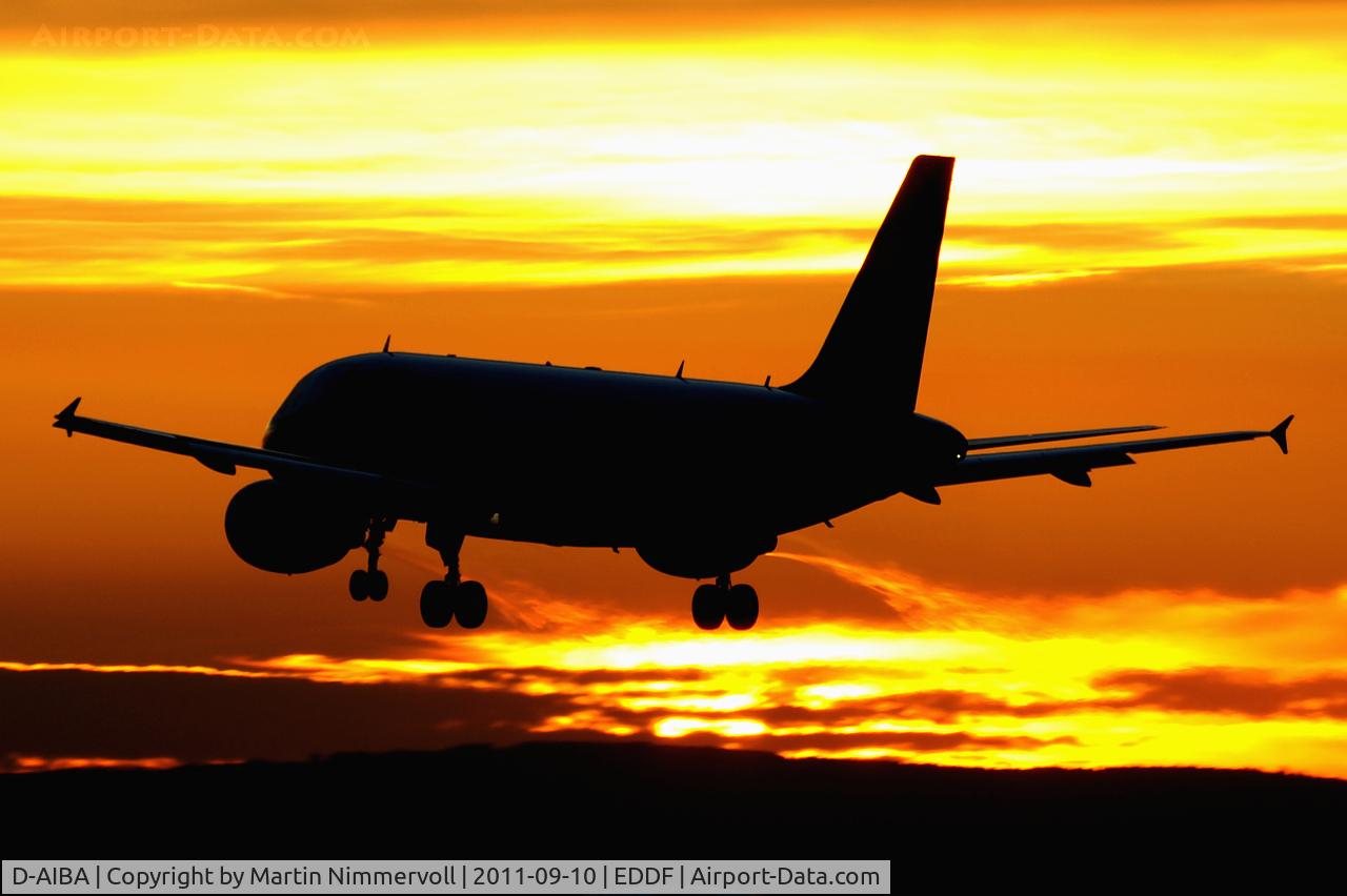 D-AIBA, 2009 Airbus A319-114 C/N 4141, Lufthansa