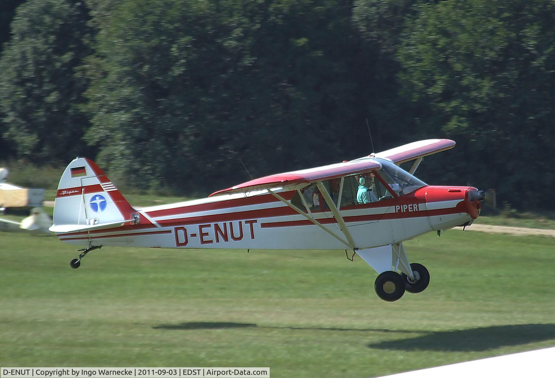 D-ENUT, 1953 Piper PA-18-95 Super Cub C/N 18-7260, Piper PA-18-95 at the 2011 Hahnweide Fly-in, Kirchheim unter Teck airfield