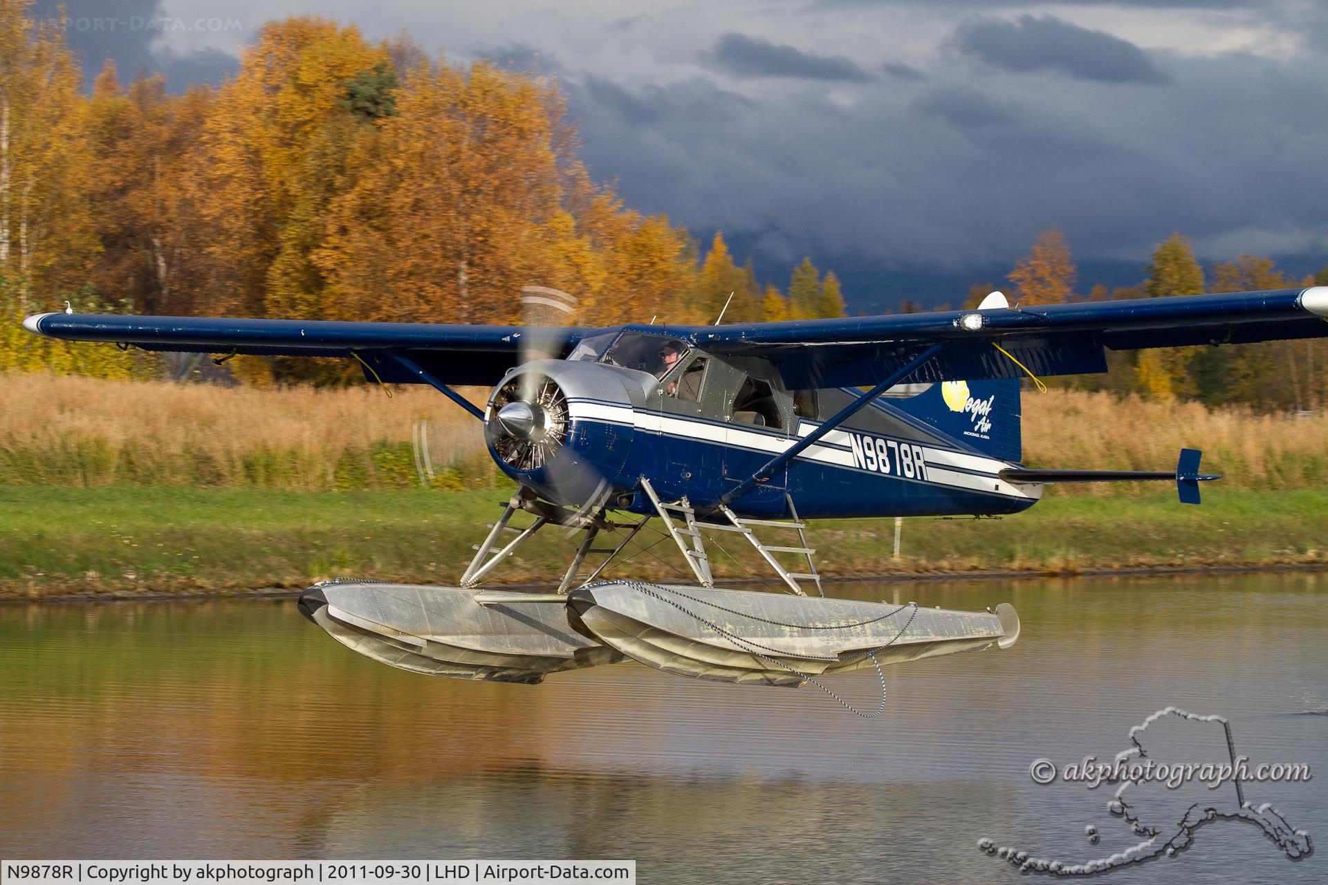 N9878R, 1956 De Havilland Canada DHC-2 MK. I(L20A) C/N 1135, Lake Hood