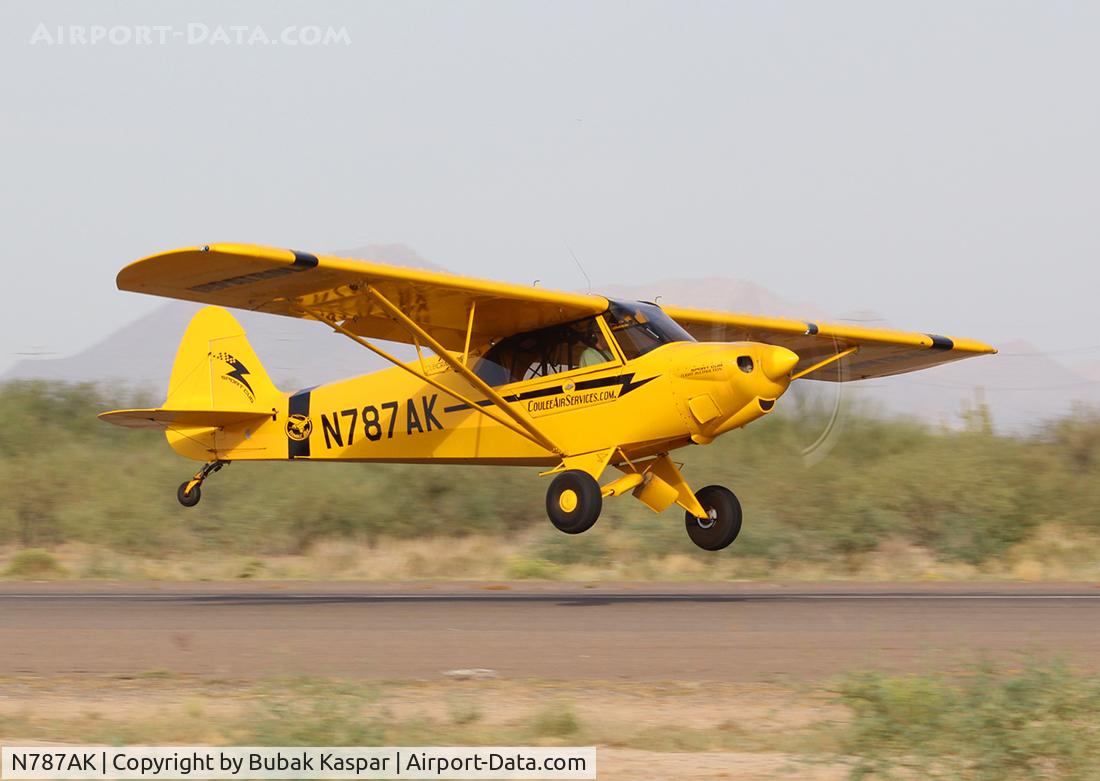 N787AK, 2006 Cub Crafters CC11-100 Sport Cub C/N CC11-00006, Coolidge