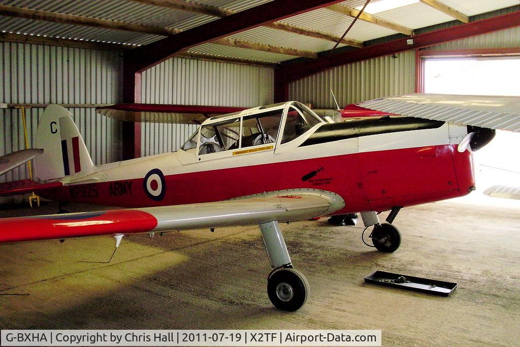 G-BXHA, 1952 De Havilland DHC-1 Chipmunk T.10 C/N C1/0801, At Top Farm Airfield, Hertfordshire.