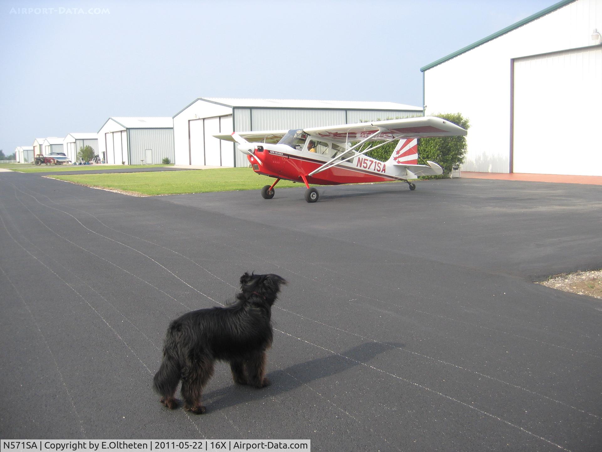 N571SA, 2005 American Champion 8KCAB Super Decathlon C/N 1009-2005, Faithful dog watching Super Decthlon departure