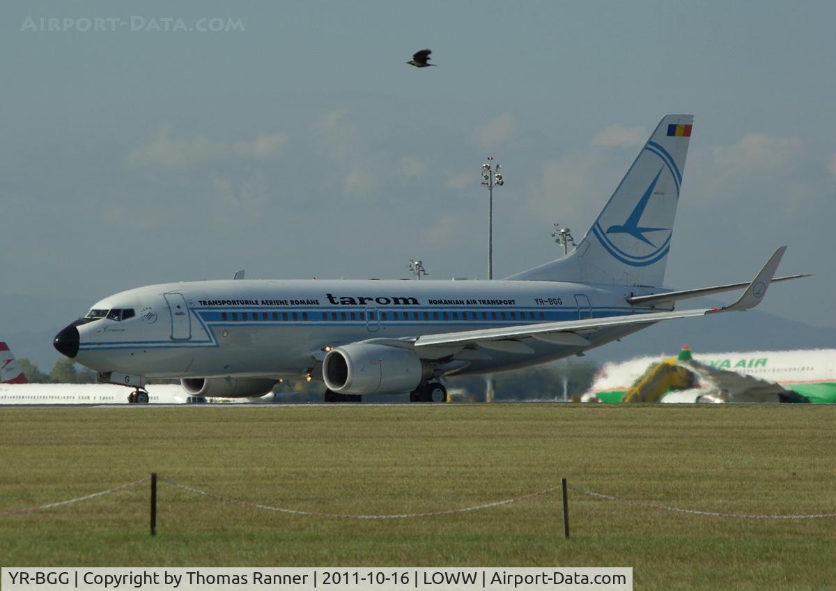 YR-BGG, 2001 Boeing 737-78J C/N 28442, Tarom Retro Boeing 737 with Hooded Crow