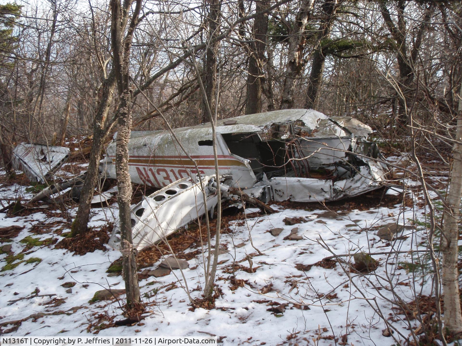 N1316T, Piper PA-28-140 C/N 287225460, Crached in the Catskills in 1983